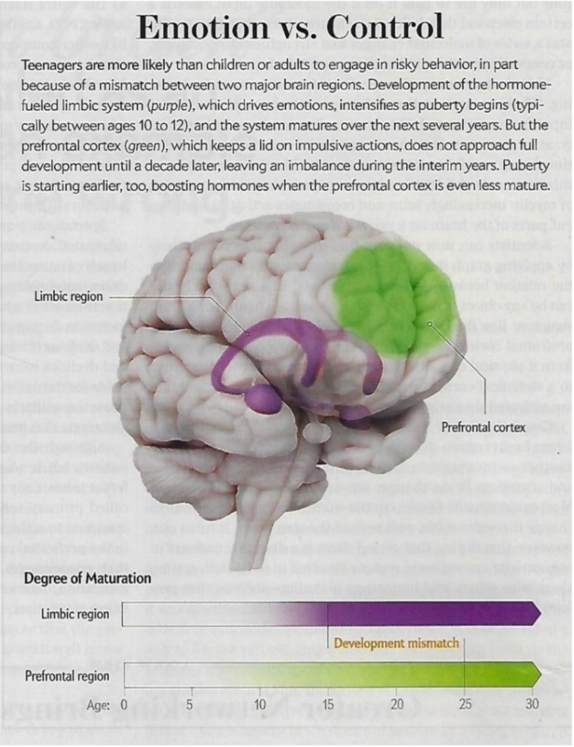 What Parents Must Know about Teenagers’ Amazing Brains - Dr. Christine ...